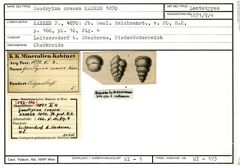 Karteikarte zum Lectotyp von Gaudryina crassa Karrer, 1870